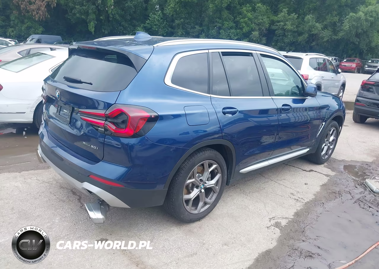 2023 BMW X3 xDrive30I VIN:5UX53DP03P9S64280 - 4