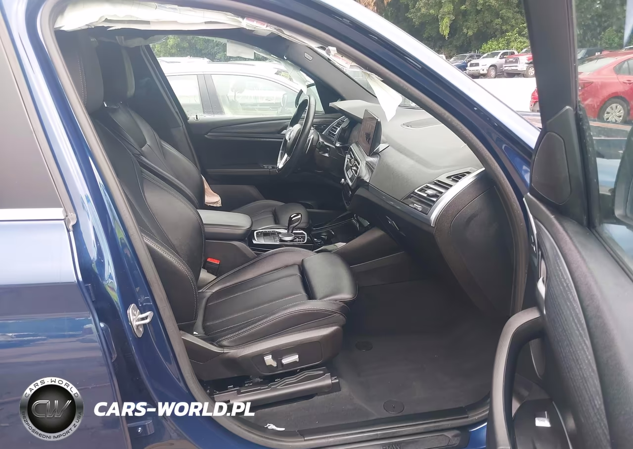 2023 BMW X3 xDrive30I VIN:5UX53DP03P9S64280 - 5