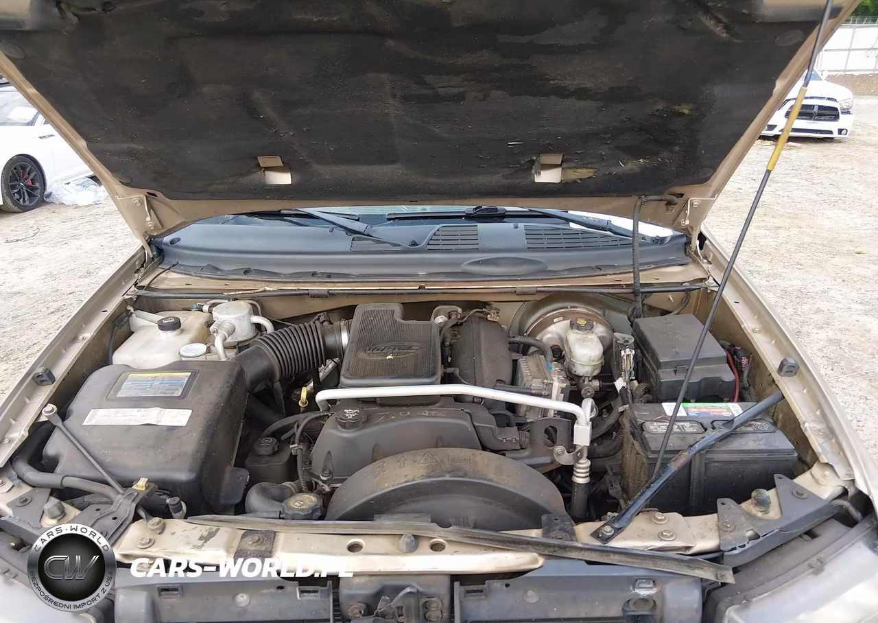 2004 Chevrolet Trailblazer Ext Ls VIN:1GNES16S646167617 - 10