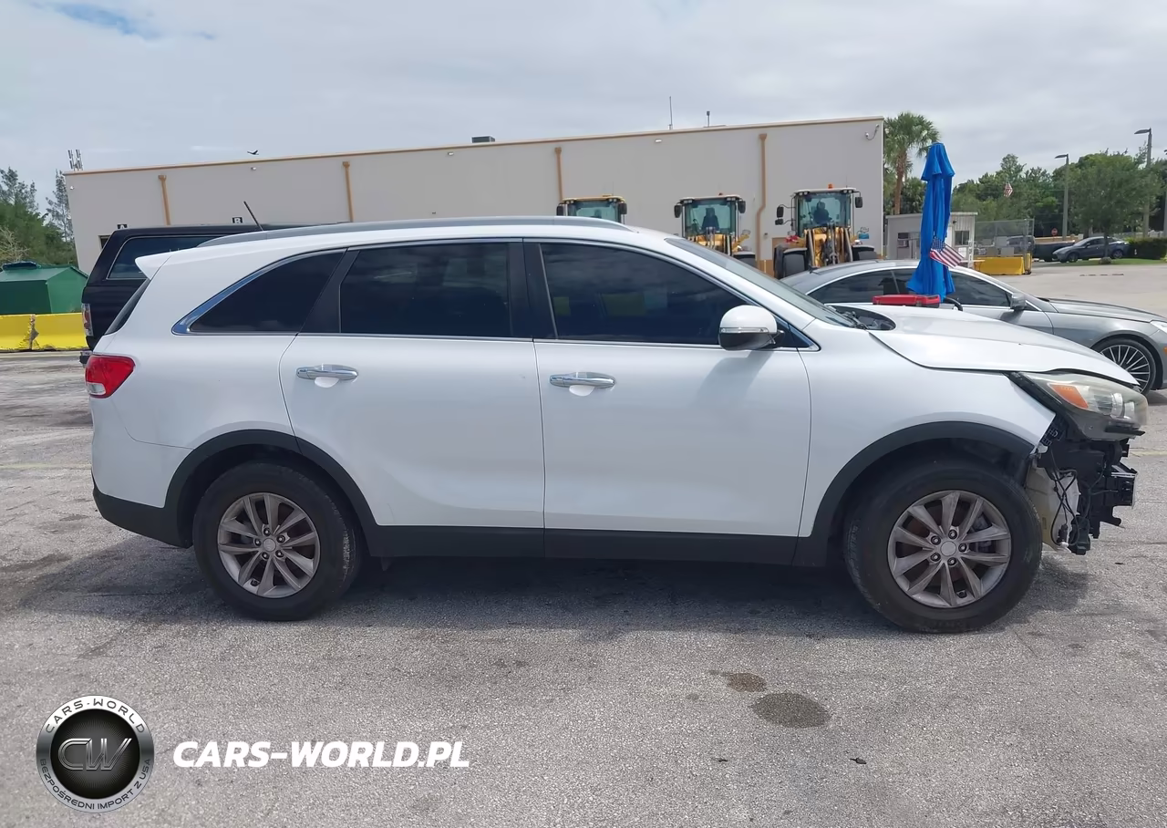 2017 Kia Sorento 2.4L Lx VIN:5XYPG4A33HG248811 - 13