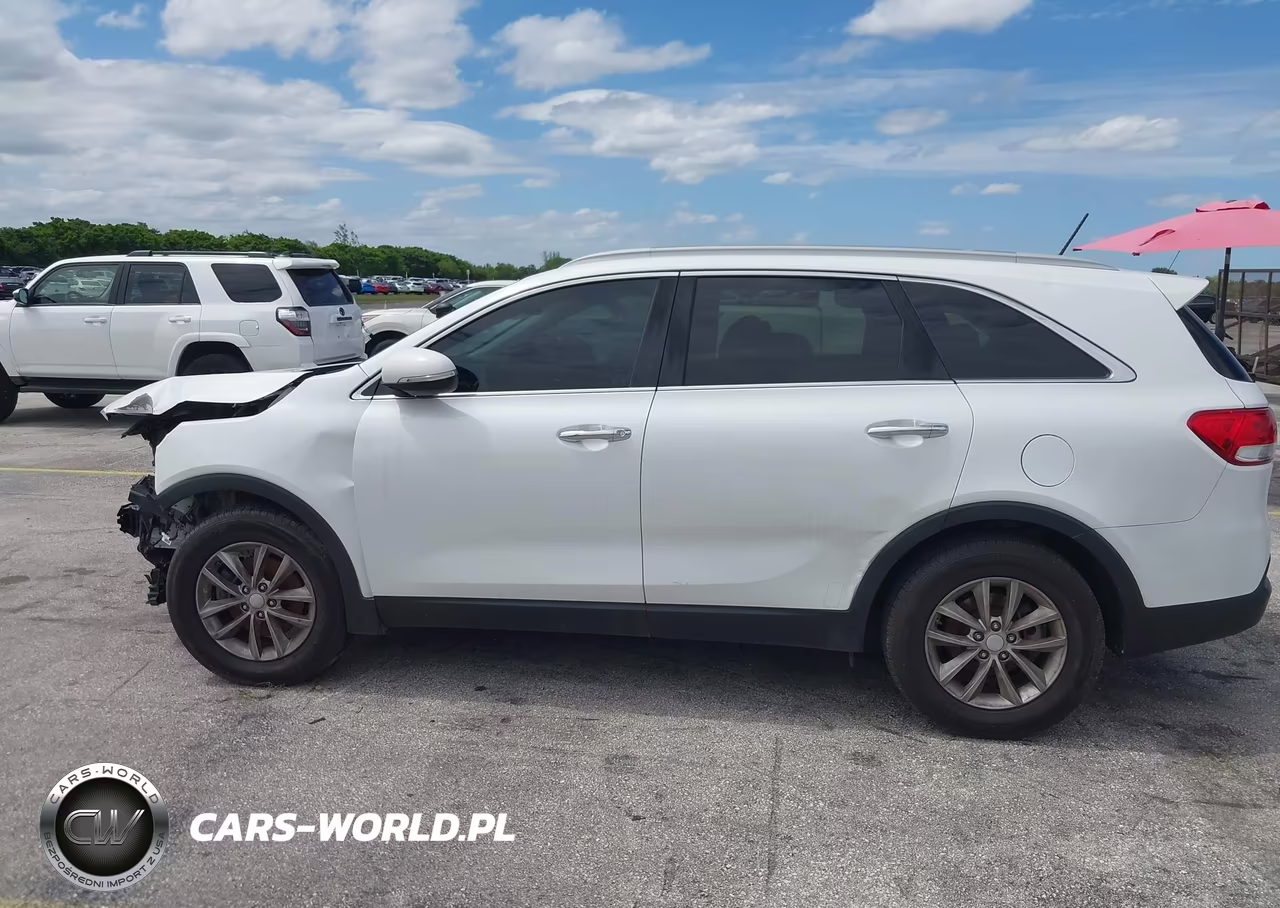 2017 Kia Sorento 2.4L Lx VIN:5XYPG4A33HG248811 - 14