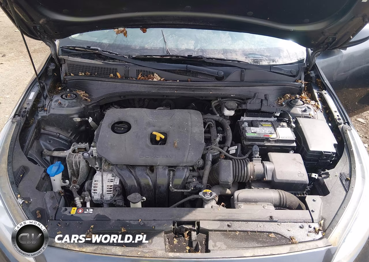 2019 Kia Forte S VIN:3KPF34AD9KE005976 - 10