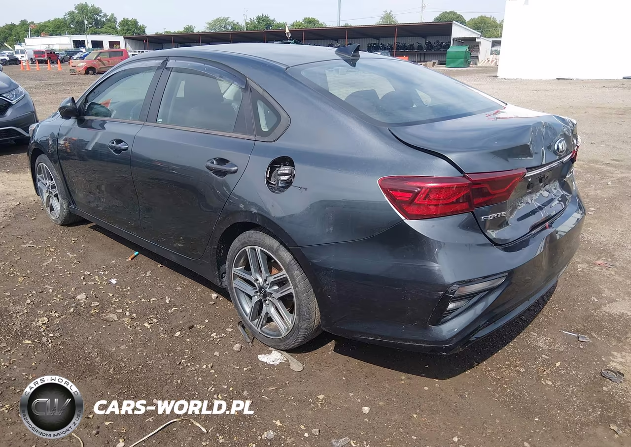 2019 Kia Forte S VIN:3KPF34AD9KE005976 - 3