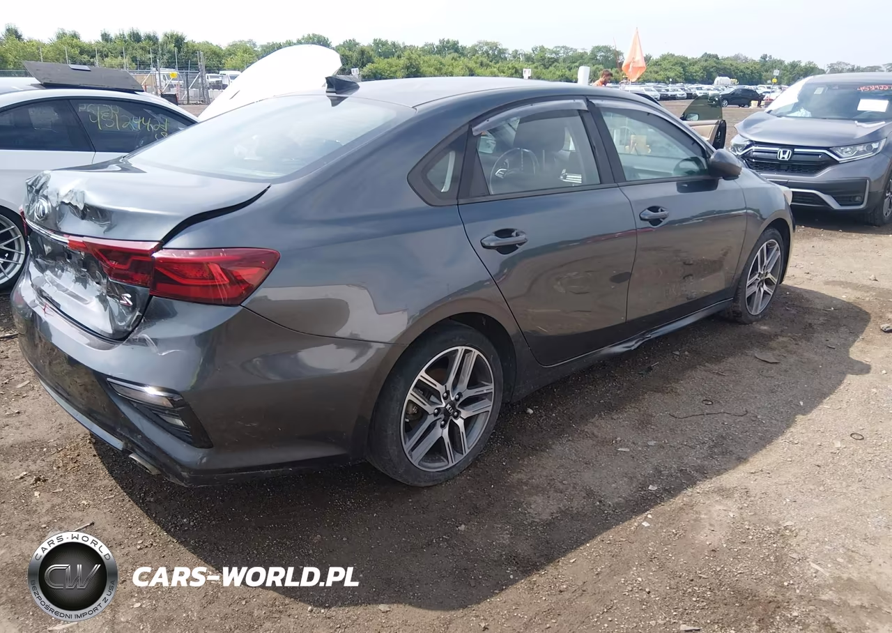 2019 Kia Forte S VIN:3KPF34AD9KE005976 - 4