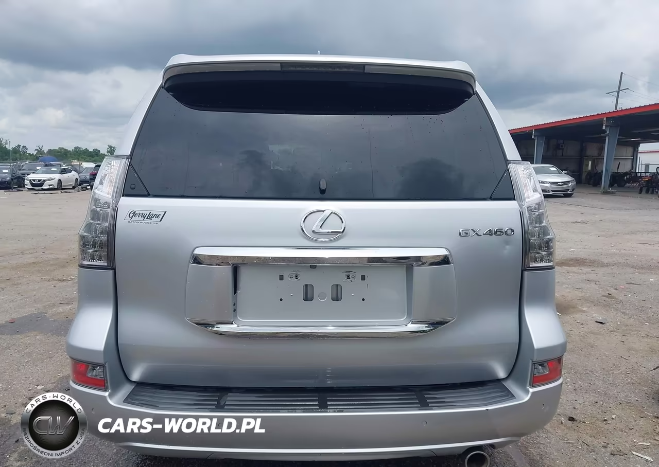 2019 Lexus Gx 460 Premium VIN:JTJBM7FX0K5211406 - 17