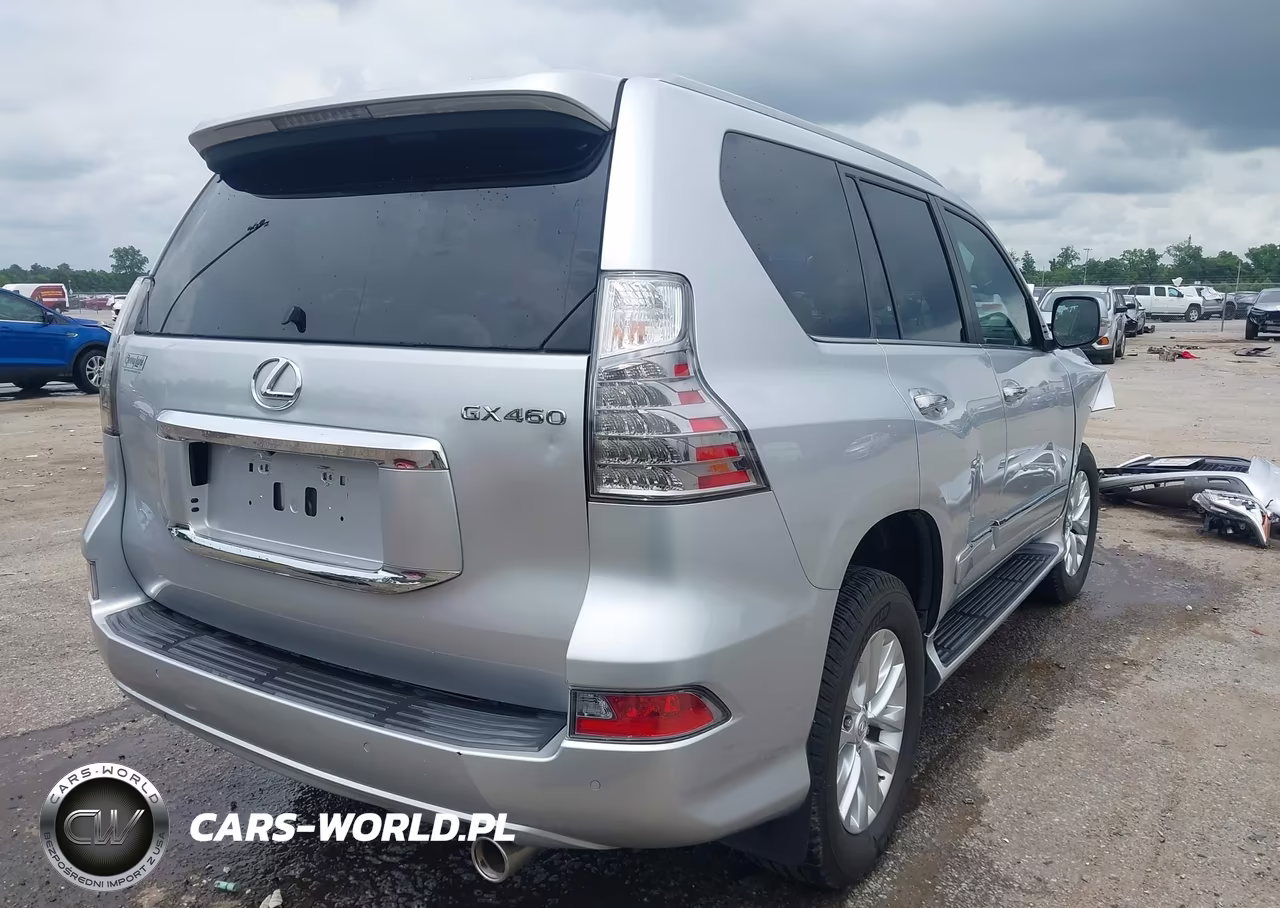 2019 Lexus Gx 460 Premium VIN:JTJBM7FX0K5211406 - 4