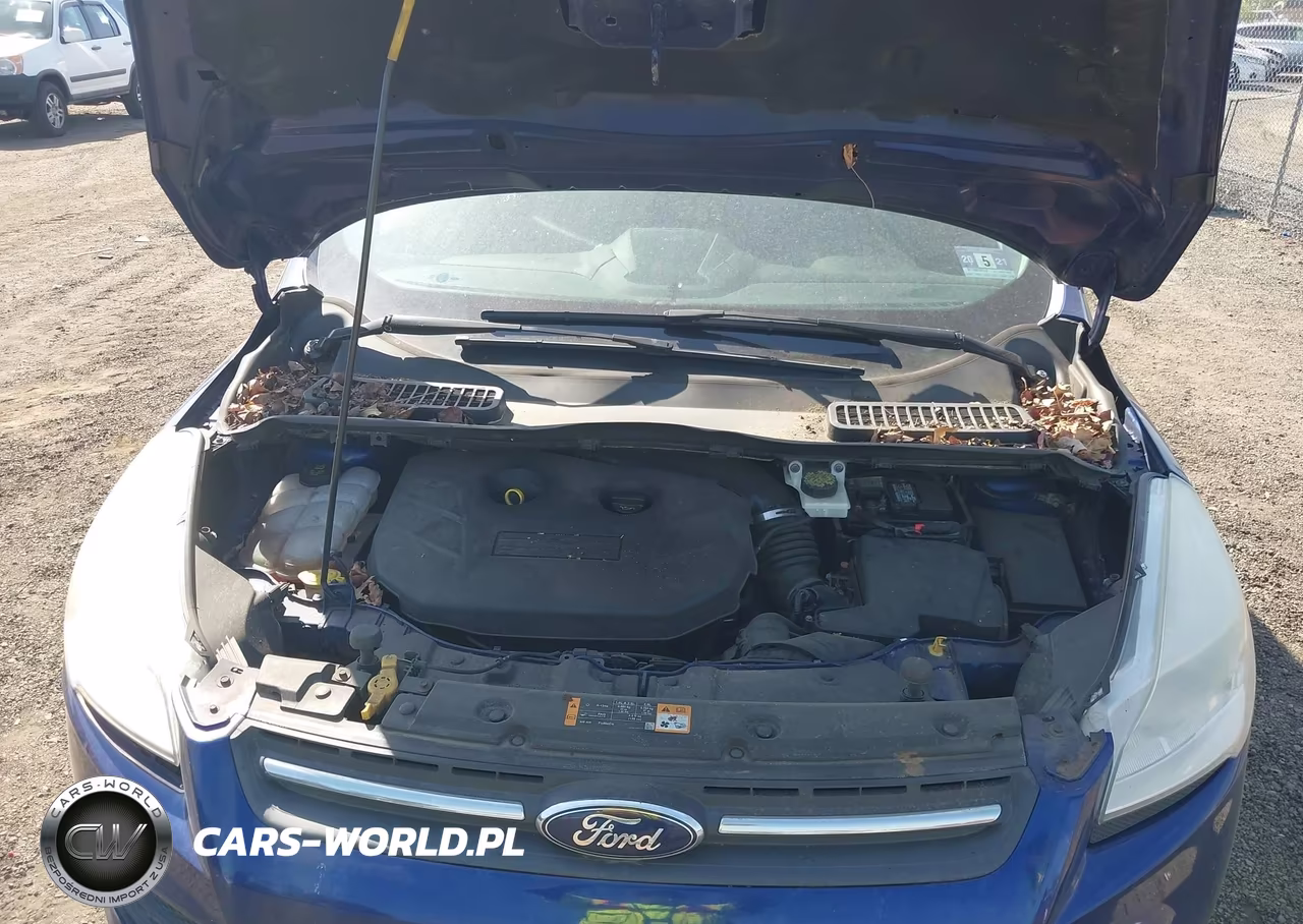 2014 Ford Escape Se VIN:1FMCU9G99EUA34332 - 10