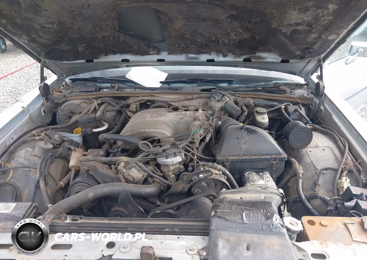 1989 Ford Crown Victoria VIN:2FABP73F9KX145013 - 10