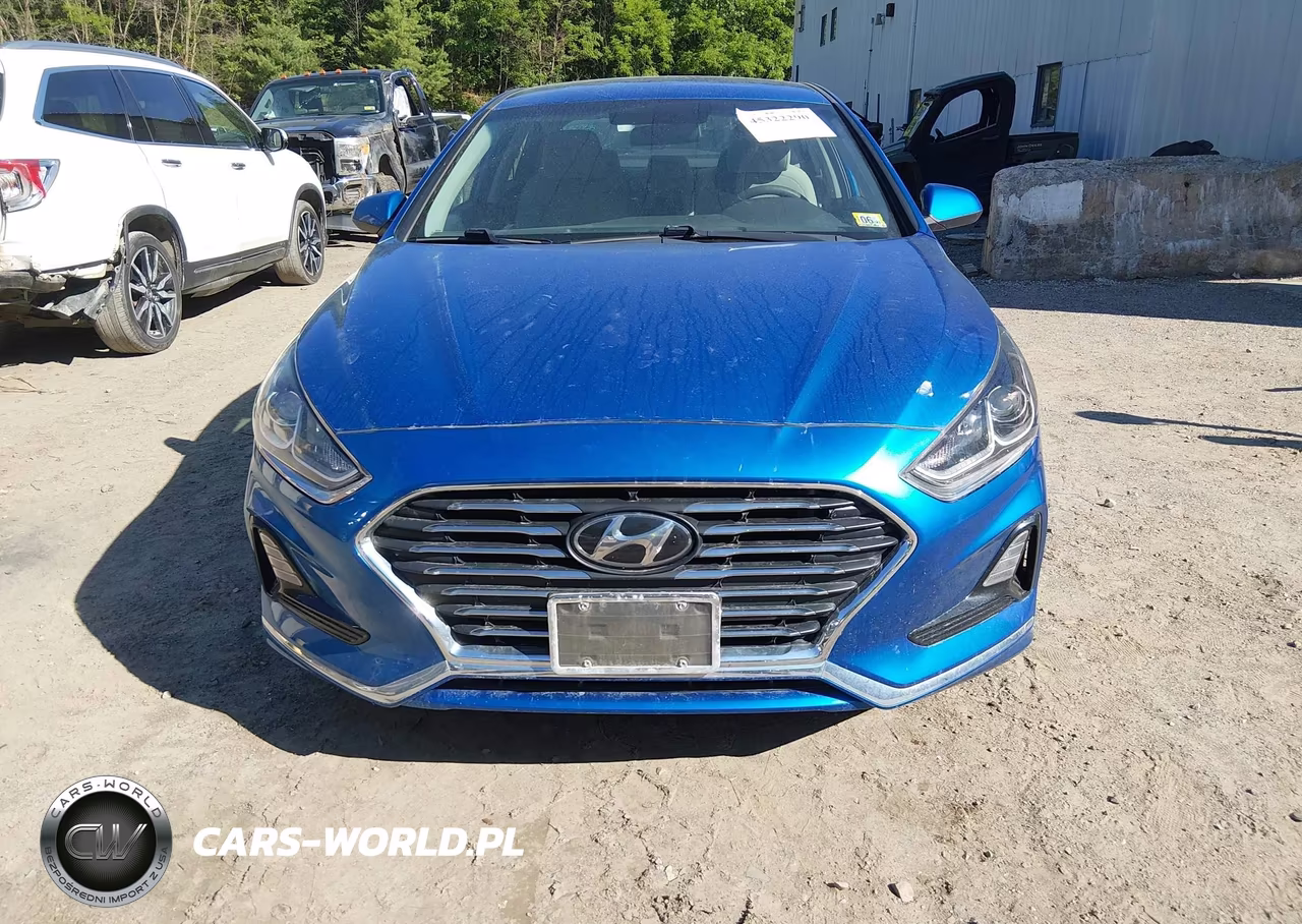 2019 Hyundai Sonata Se VIN:5NPE24AF3KH733501 - 12