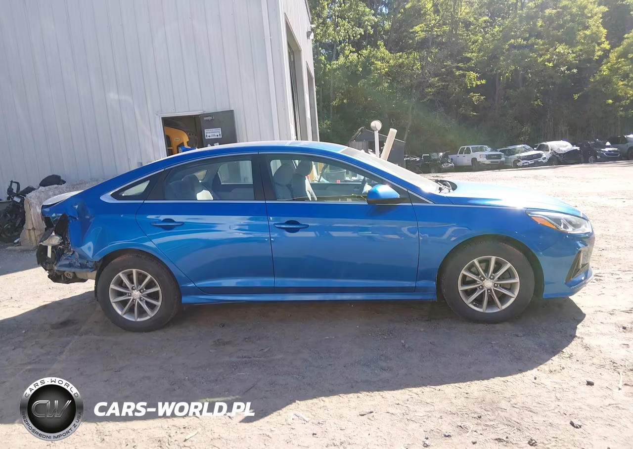 2019 Hyundai Sonata Se VIN:5NPE24AF3KH733501 - 13