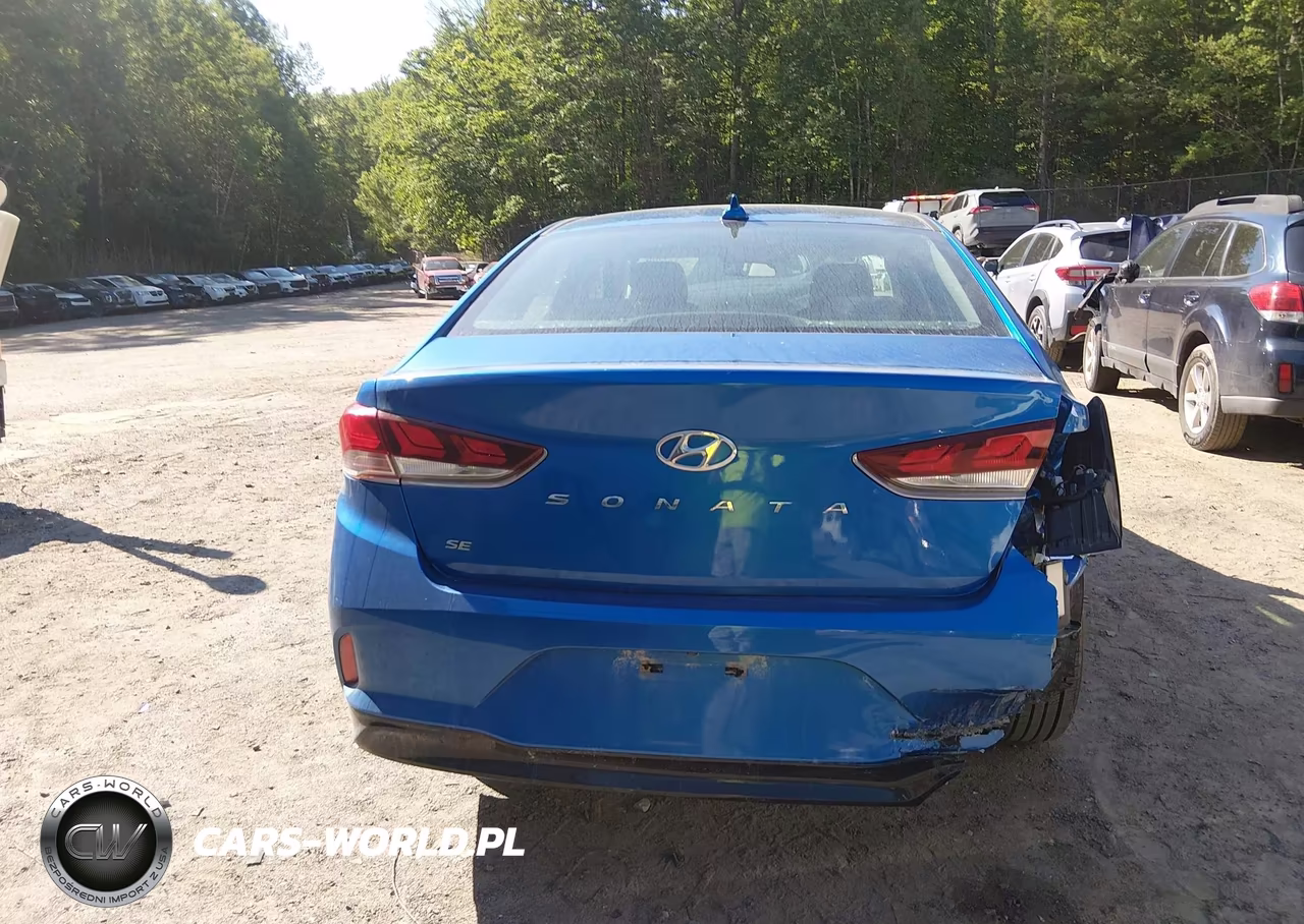 2019 Hyundai Sonata Se VIN:5NPE24AF3KH733501 - 16