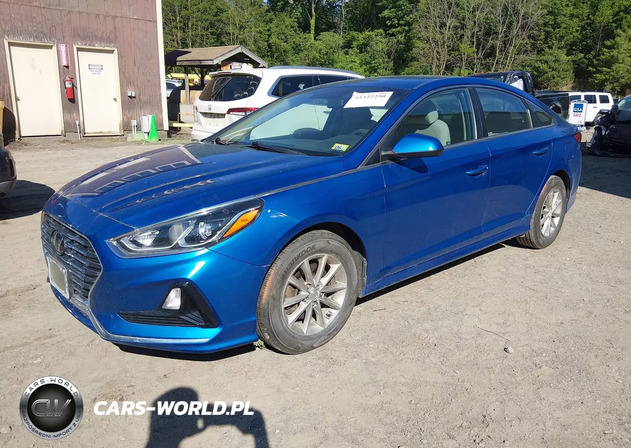 2019 Hyundai Sonata Se VIN:5NPE24AF3KH733501 - 2