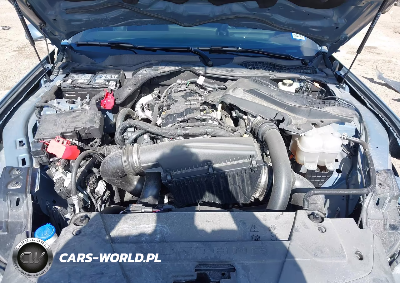 2025 Ford Mustang Ecoboost Fastback VIN:1FA6P8TH3S5103057 - 10