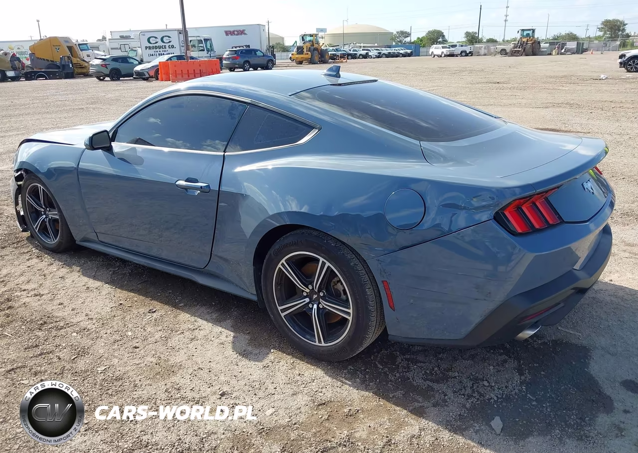 2025 Ford Mustang Ecoboost Fastback VIN:1FA6P8TH3S5103057 - 3