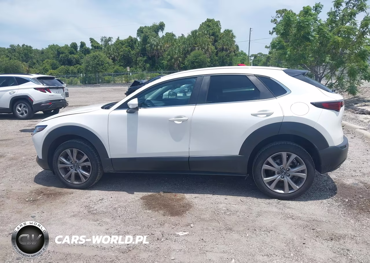 2021 Mazda Cx-30 Select VIN:3MVDMABL3MM317002 - 14