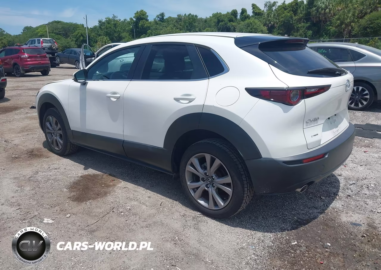 2021 Mazda Cx-30 Select VIN:3MVDMABL3MM317002 - 3