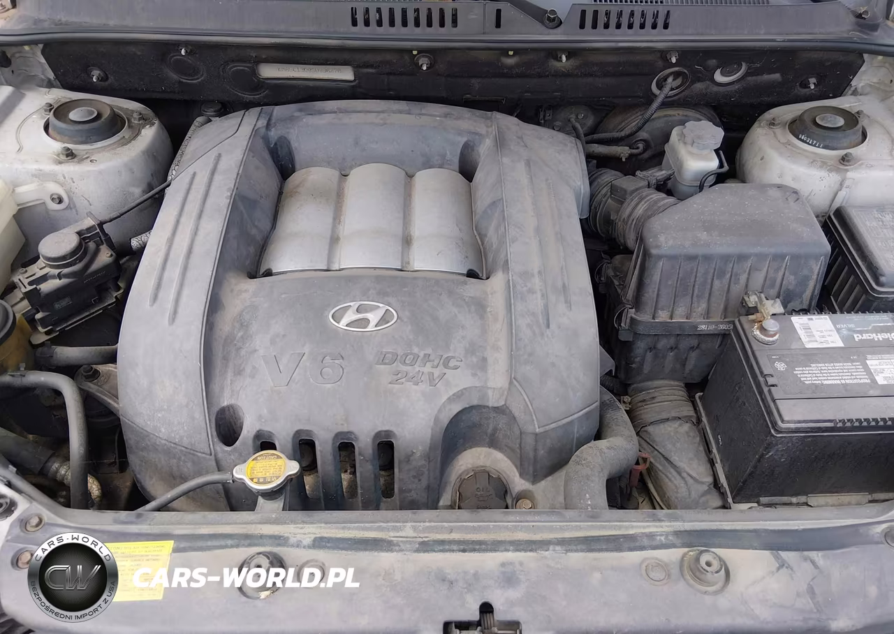 2005 Hyundai Santa Fe Gls VIN:KM8SC13D85U998270 - 10