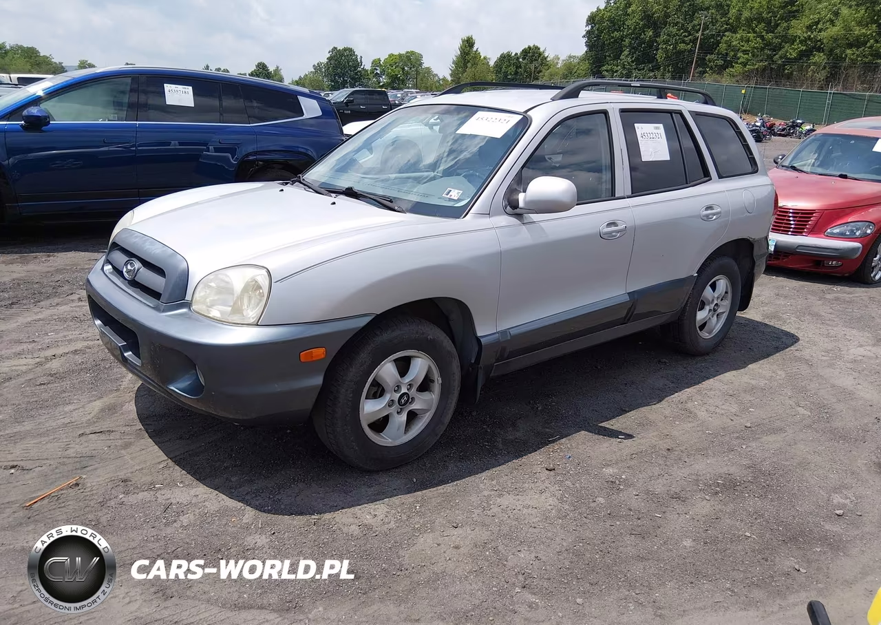 2005 Hyundai Santa Fe Gls VIN:KM8SC13D85U998270 - 2