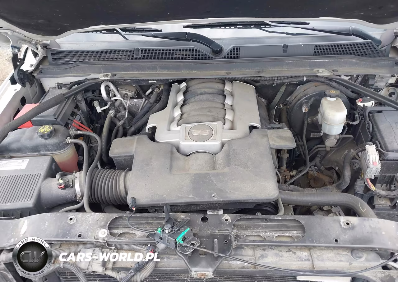 2019 Cadillac Escalade Luxury VIN:1GYS4BKJ7KR260080 - 10