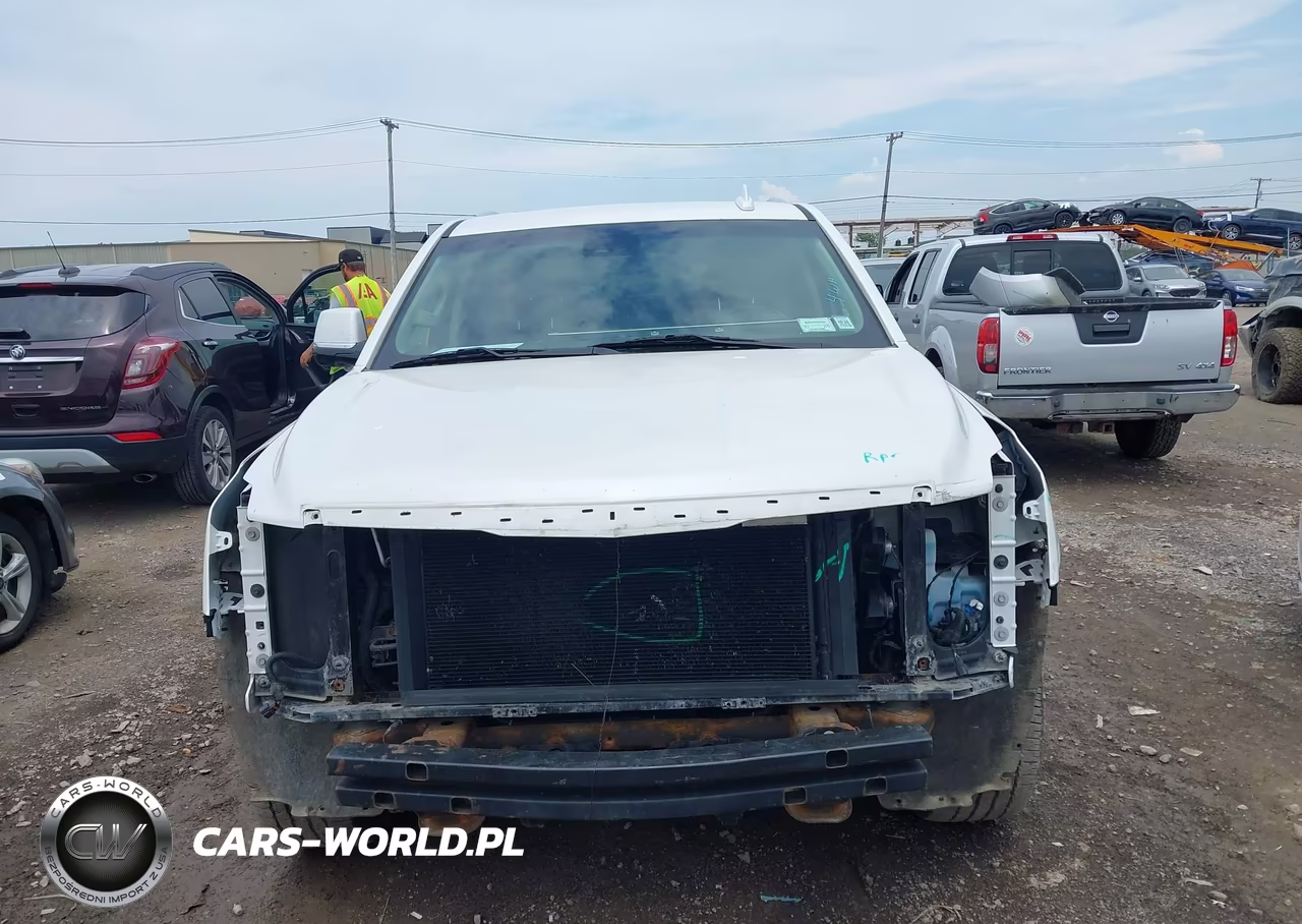 2019 Cadillac Escalade Luxury VIN:1GYS4BKJ7KR260080 - 13