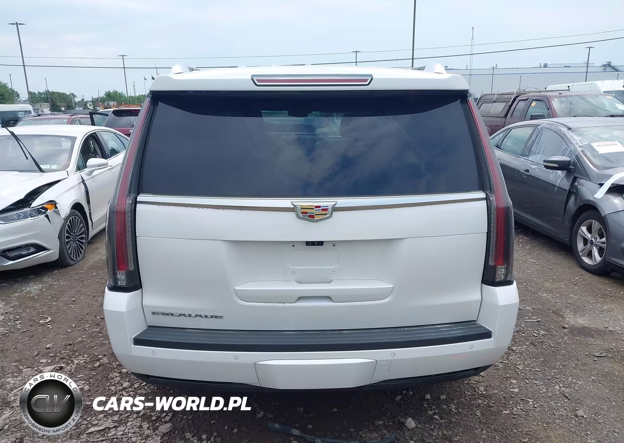 2019 Cadillac Escalade Luxury VIN:1GYS4BKJ7KR260080 - 17