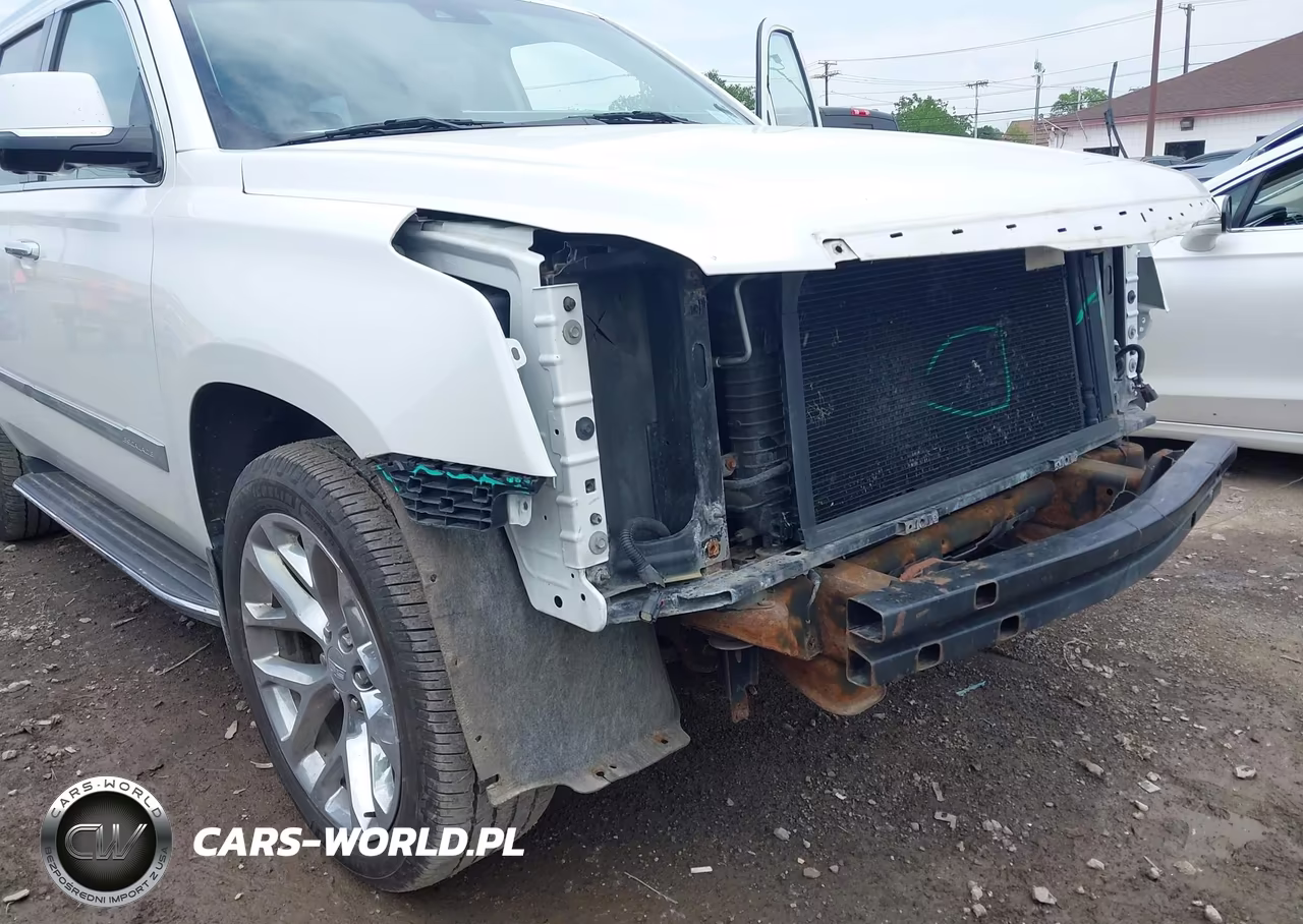 2019 Cadillac Escalade Luxury VIN:1GYS4BKJ7KR260080 - 19