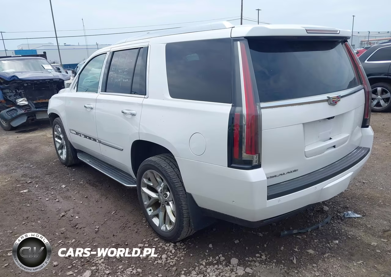 2019 Cadillac Escalade Luxury VIN:1GYS4BKJ7KR260080 - 3