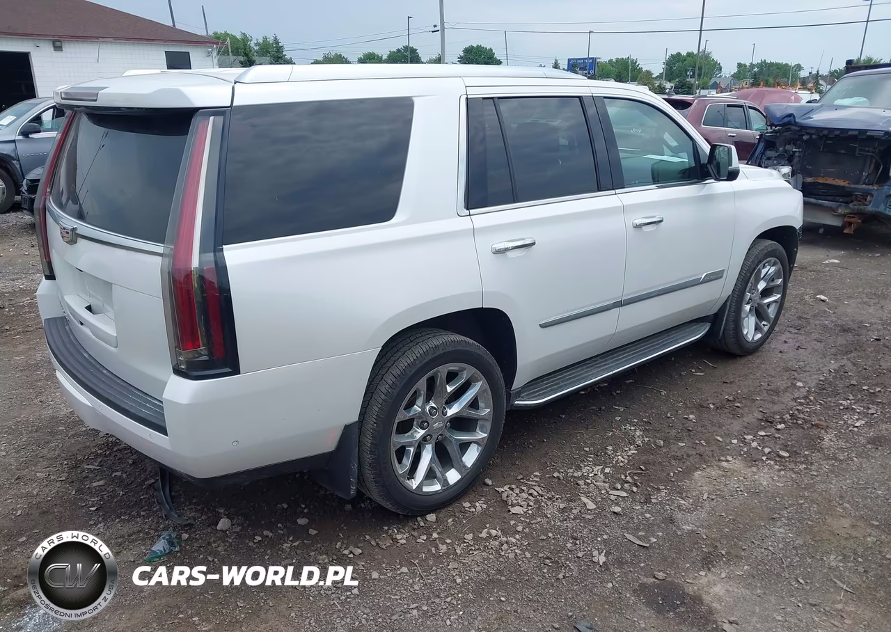 2019 Cadillac Escalade Luxury VIN:1GYS4BKJ7KR260080 - 4