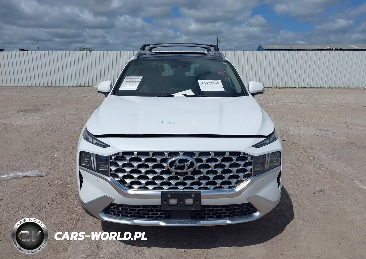 2021 Hyundai Santa Fe Limited VIN:5NMS44AL8MH318712 - 11