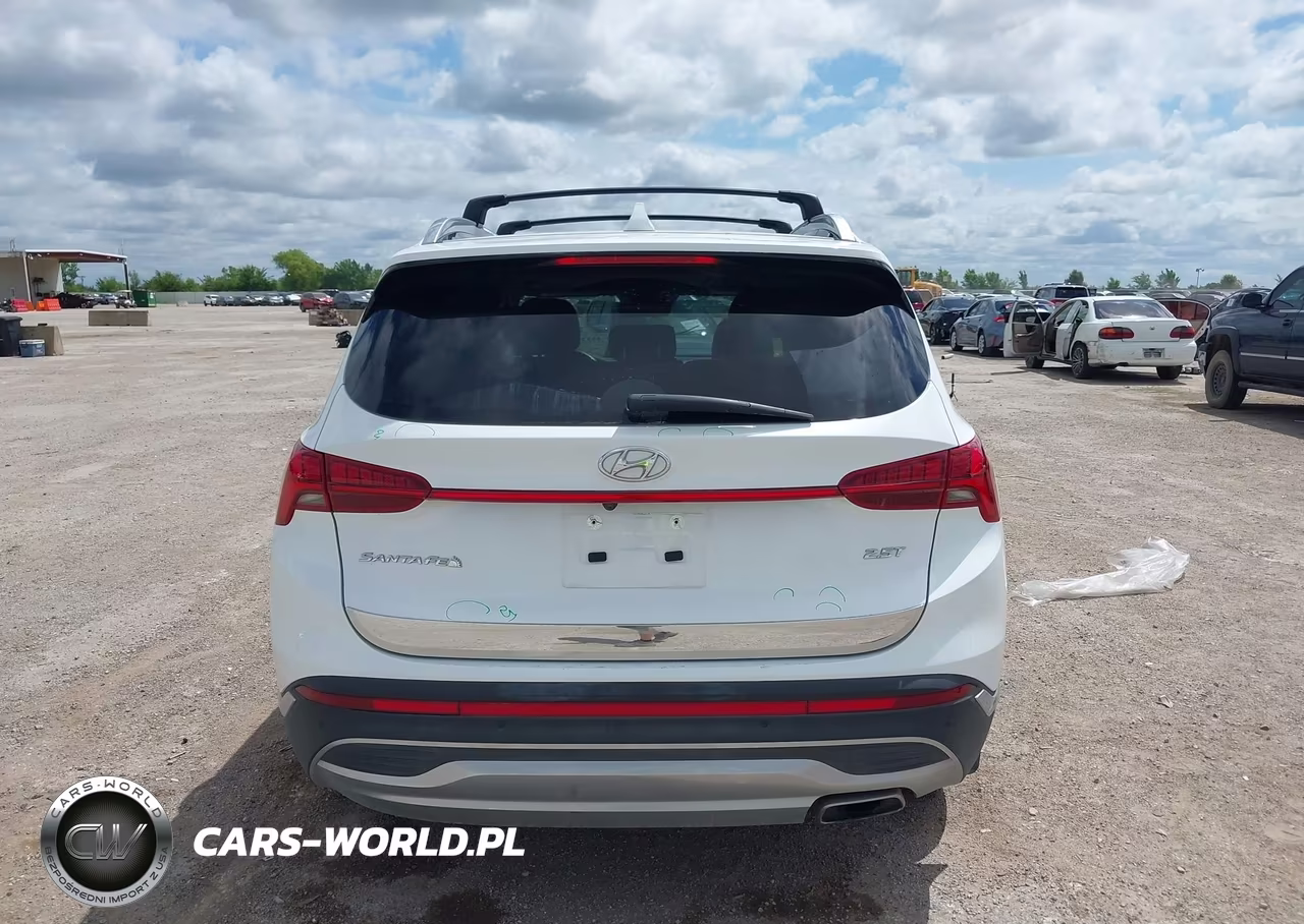 2021 Hyundai Santa Fe Limited VIN:5NMS44AL8MH318712 - 15