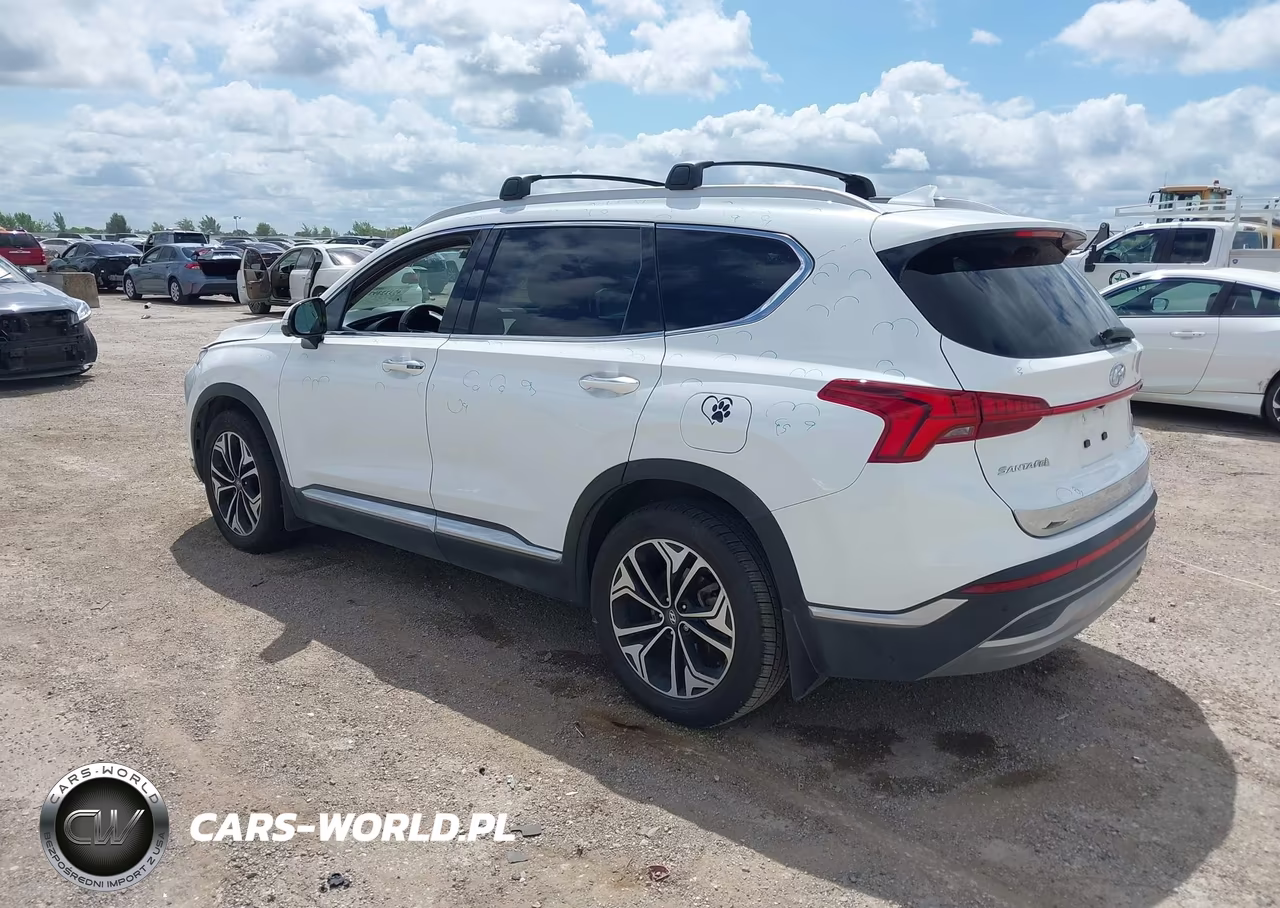 2021 Hyundai Santa Fe Limited VIN:5NMS44AL8MH318712 - 3
