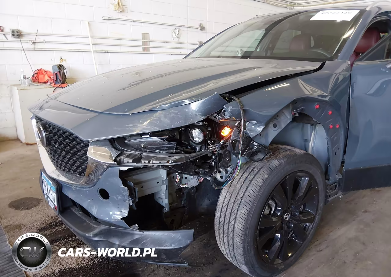 2024 Mazda Cx-30 2.5 S Carbon Edition VIN:3MVDMBCM8RM684546 - 6