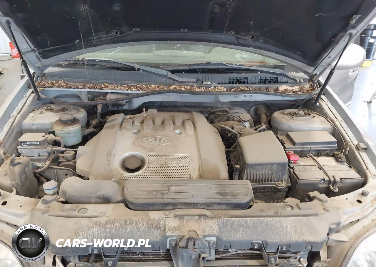 2004 Kia Sedona Ex-Lx VIN:KNDUP131246584122 - 10