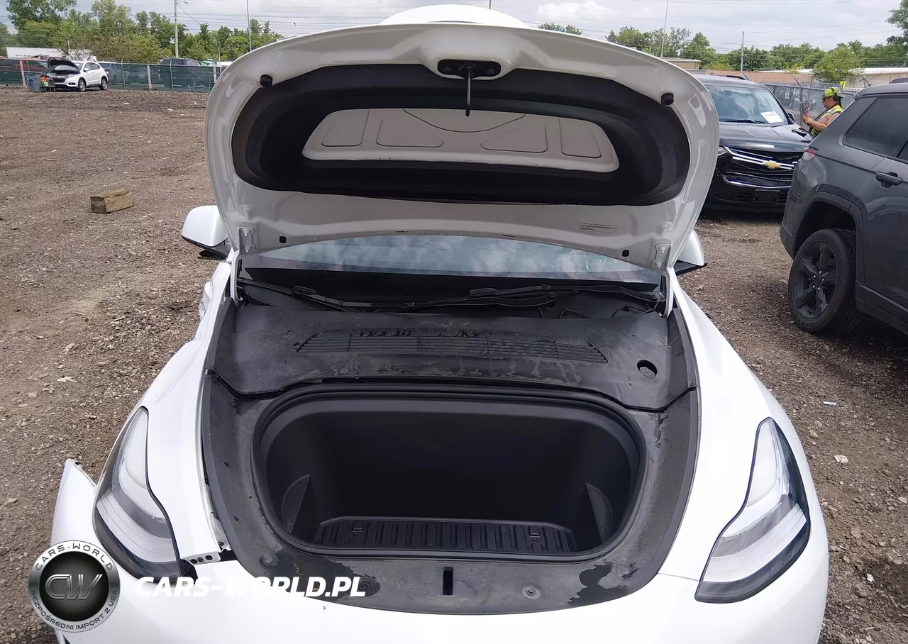 2023 Tesla Model Y Performance Dual Motor All-Wheel Drive VIN:7SAYGDEF1PA049058 - 10