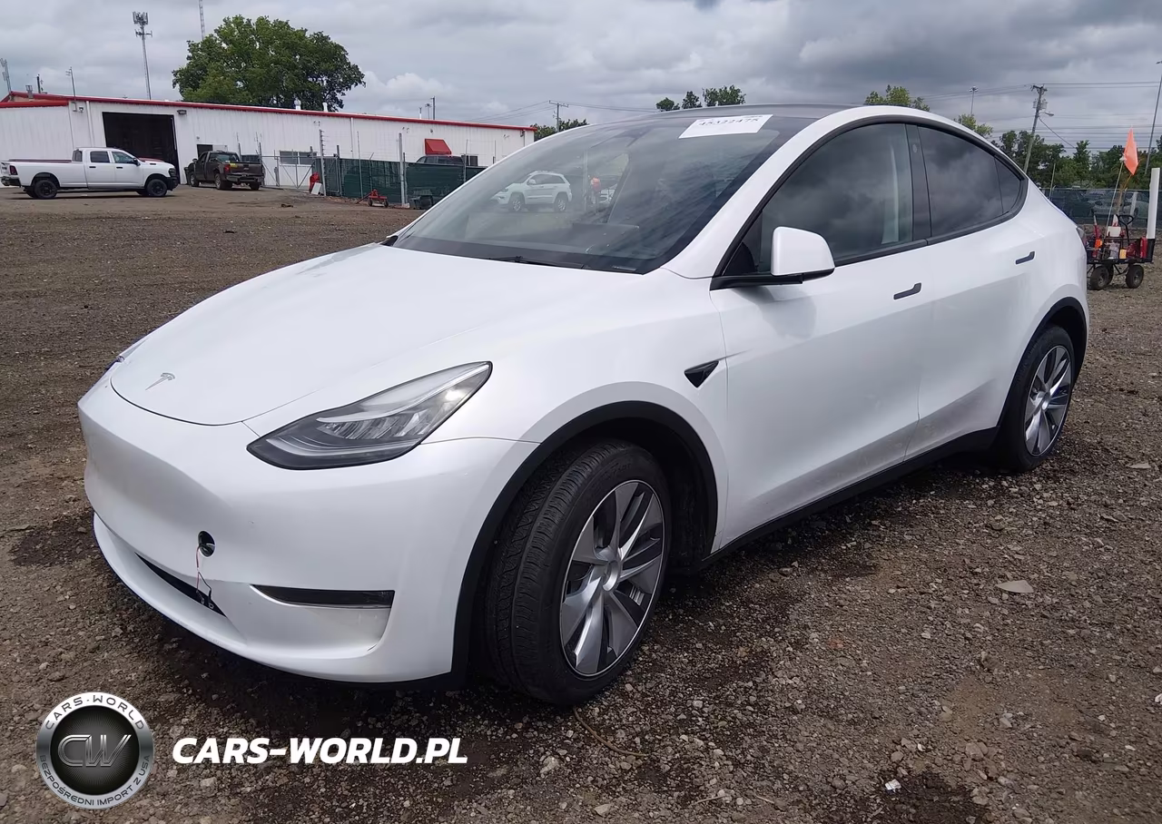 2023 Tesla Model Y Performance Dual Motor All-Wheel Drive VIN:7SAYGDEF1PA049058 - 2
