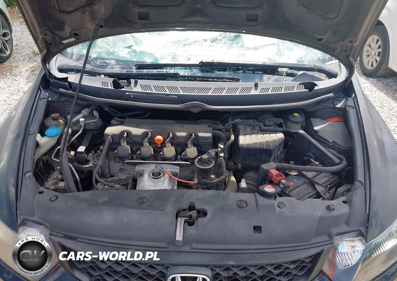 2010 Honda Civic Lx VIN:2HGFG1B65AH501364 - 10