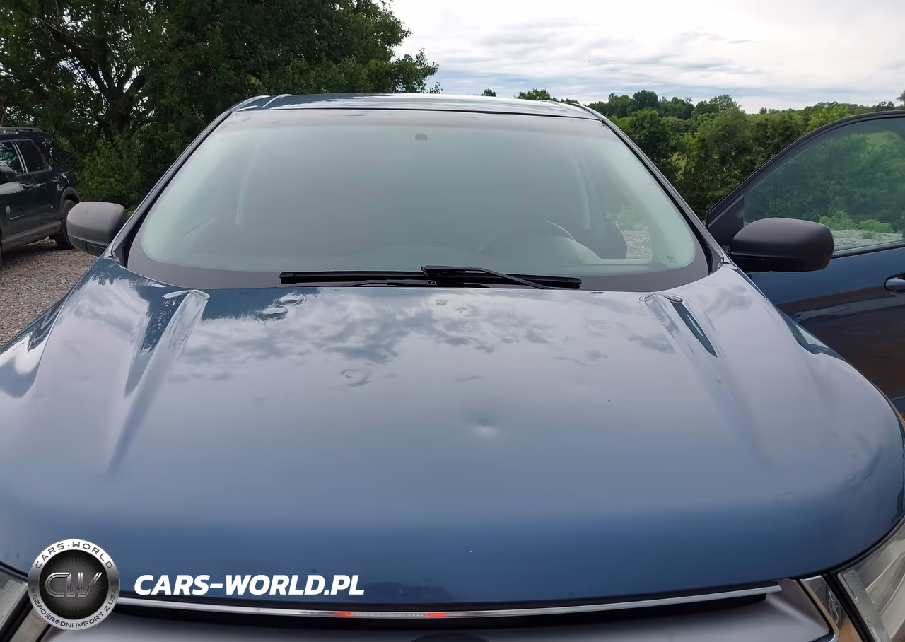 2018 Ford Edge Se VIN:2FMPK3G93JBB63204 - 6