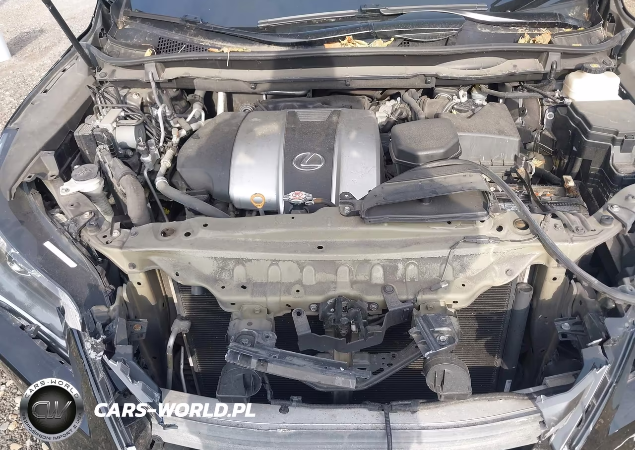 2019 Lexus Rx 350 VIN:2T2BZMCA9KC202253 - 10