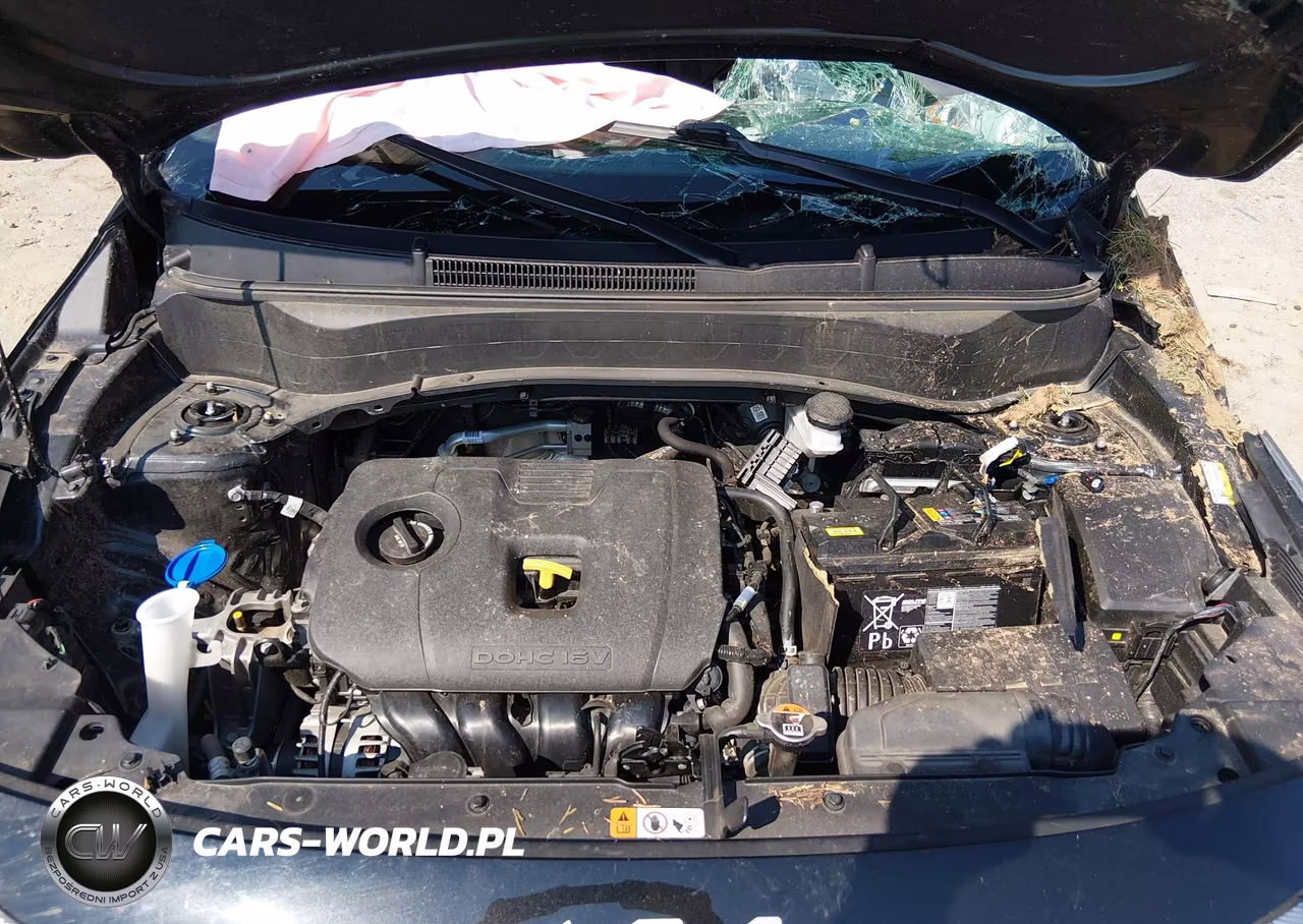 2024 Kia Seltos Lx VIN:KNDEPCAA9R7617797 - 10