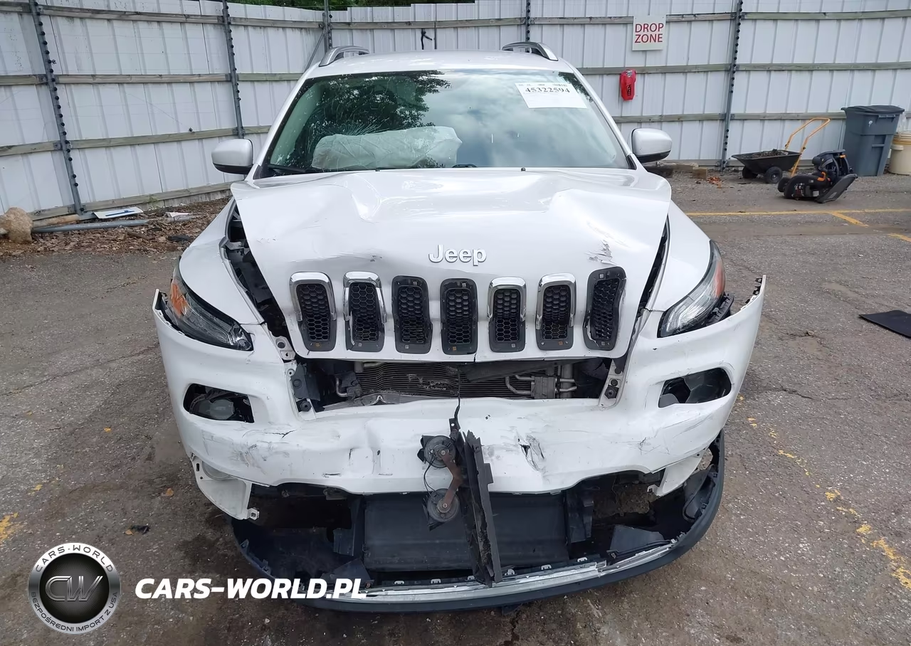 2018 Jeep Cherokee Limited 4X4 VIN:1C4PJMDX7JD610112 - 12