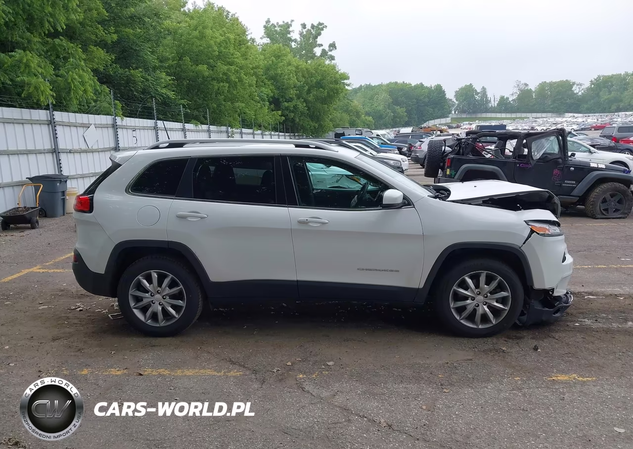 2018 Jeep Cherokee Limited 4X4 VIN:1C4PJMDX7JD610112 - 13