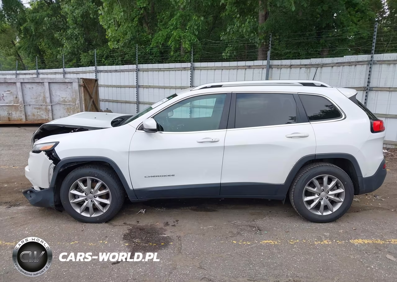 2018 Jeep Cherokee Limited 4X4 VIN:1C4PJMDX7JD610112 - 14