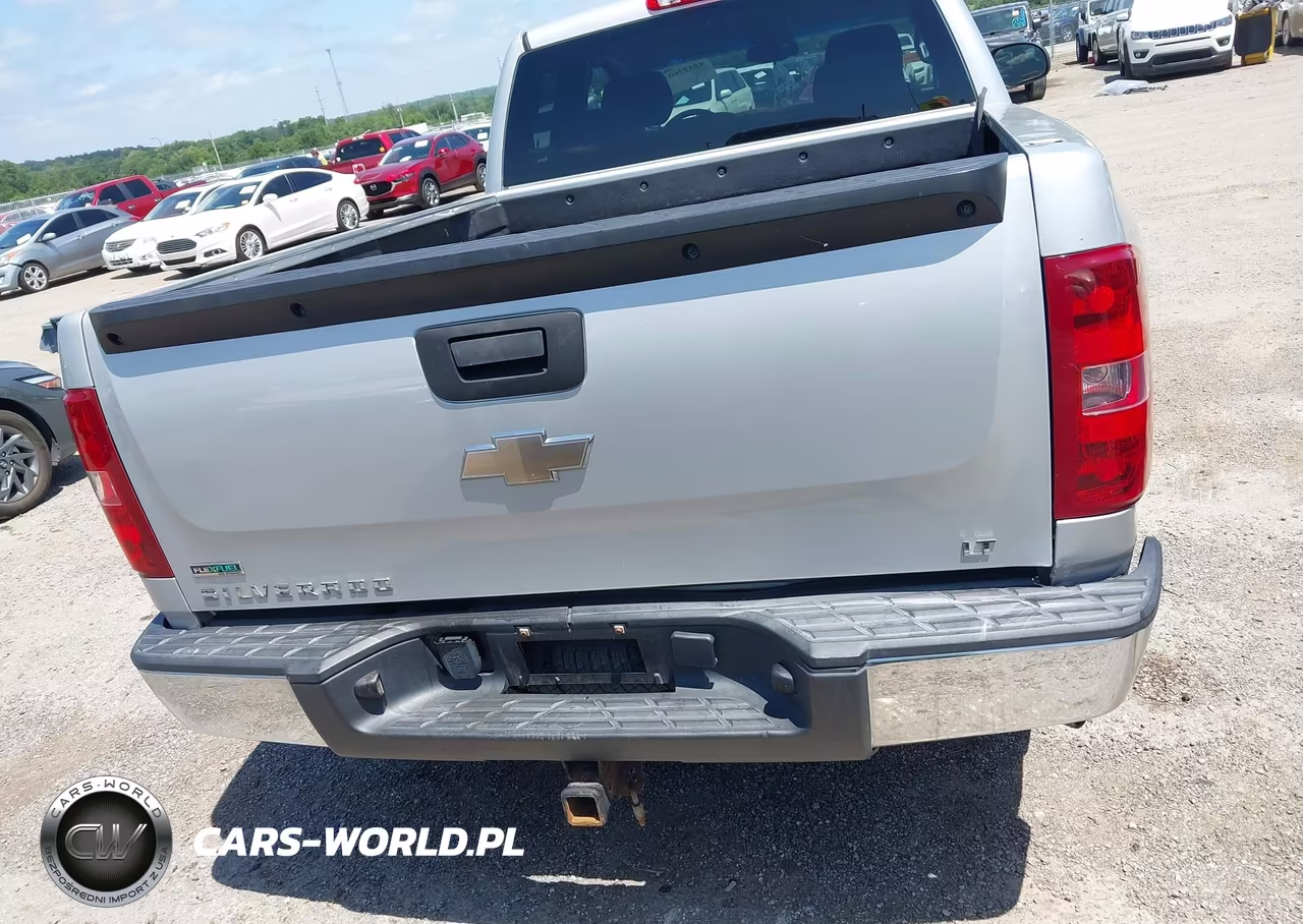 2010 Chevrolet Silverado 1500 Lt VIN:1GCSKSE39AZ116490 - 16