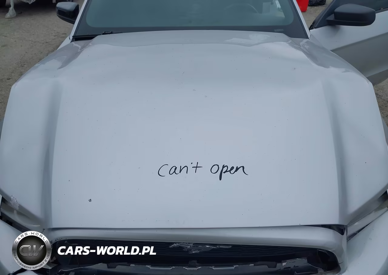 2013 Ford Mustang V6 VIN:1ZVBP8EM4D5214185 - 10
