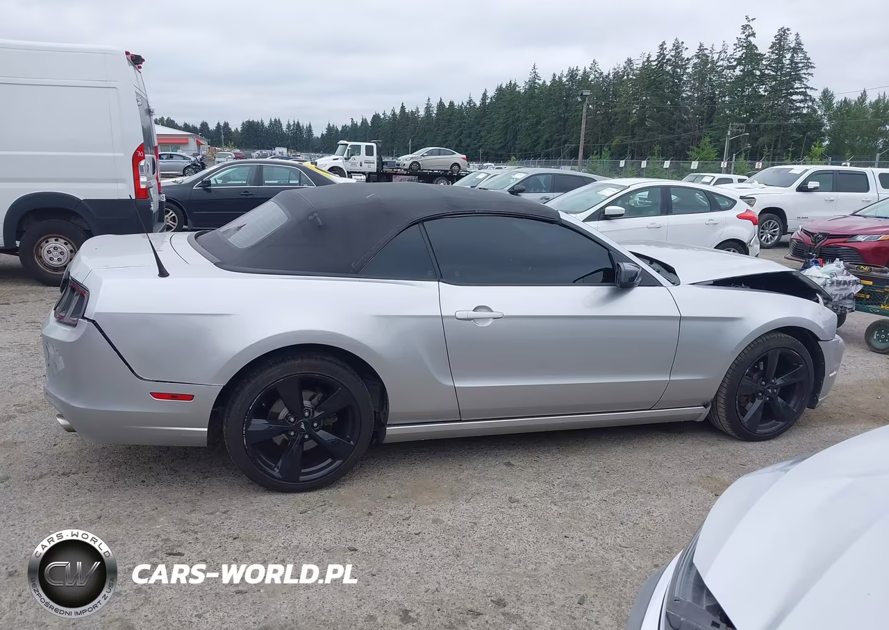 2013 Ford Mustang V6 VIN:1ZVBP8EM4D5214185 - 13