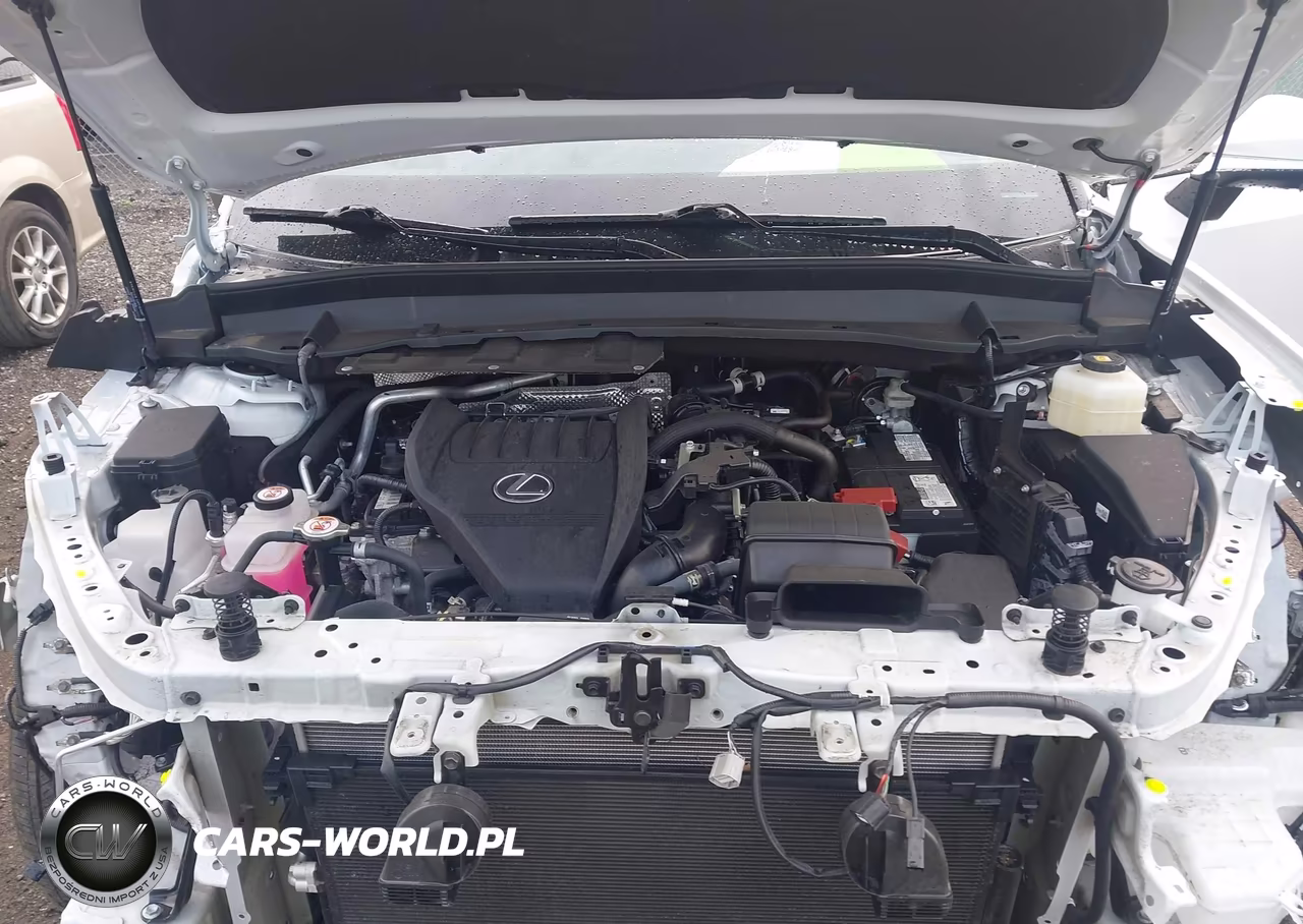 2024 Lexus Tx 350 Premium VIN:5TDAAAB65RS019016 - 10