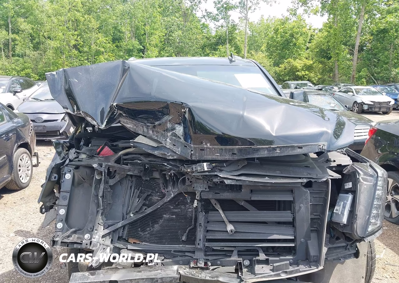 2019 Cadillac Escalade Luxury VIN:1GYS4BKJ3KR170277 - 10