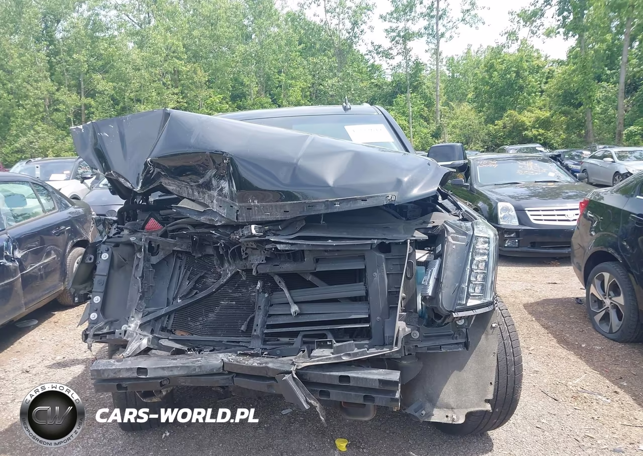 2019 Cadillac Escalade Luxury VIN:1GYS4BKJ3KR170277 - 13