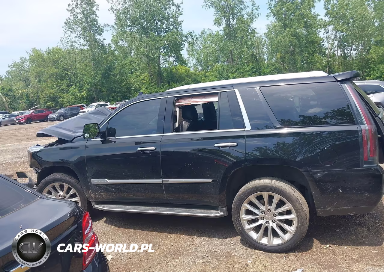 2019 Cadillac Escalade Luxury VIN:1GYS4BKJ3KR170277 - 15