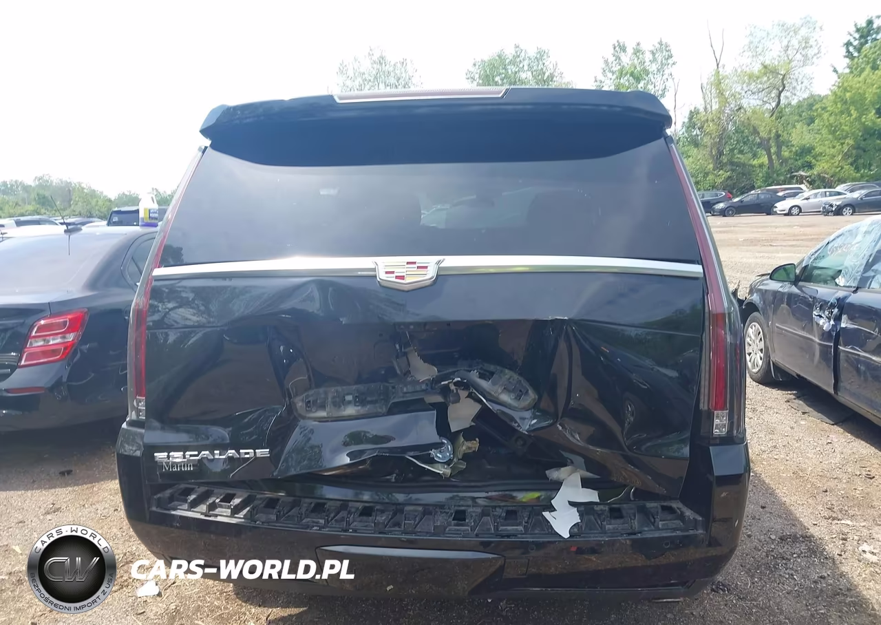 2019 Cadillac Escalade Luxury VIN:1GYS4BKJ3KR170277 - 17